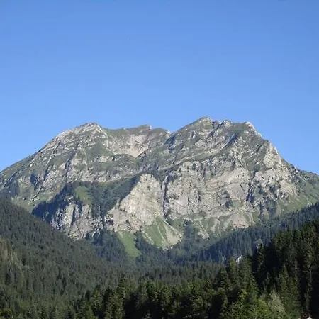 Le Montagnard * Lullin