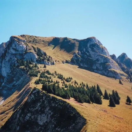 Le Montagnard