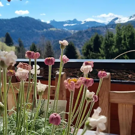 Le Montagnard Apartmán